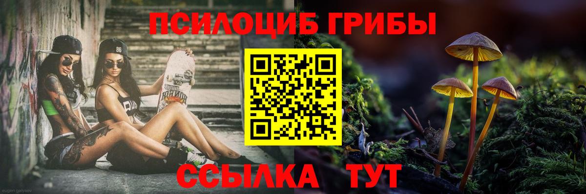 Гусев  Галлюциногенные грибы ЛСД  Галлюциногенные грибы MAGIC MUSHROOMS  Вход с VPN 