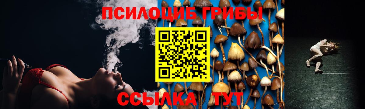 Галлюциногенные грибы мухоморы Гусев